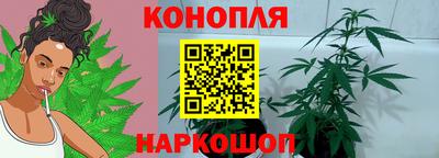 прущая мука Гатчина