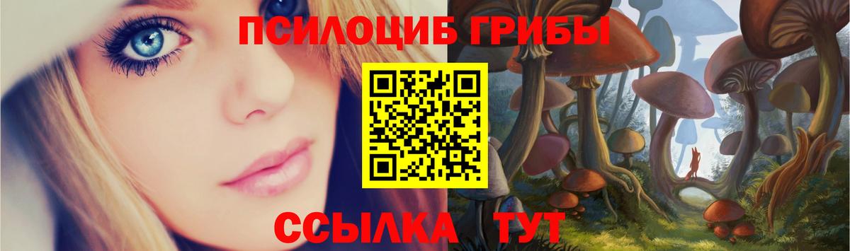 Галлюциногенные грибы Psilocybe Благодарный